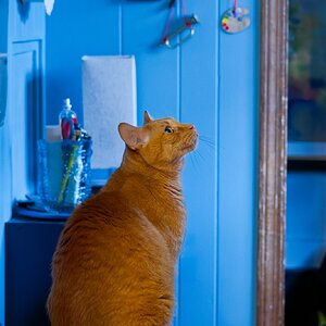 Pondering next steps.jpg