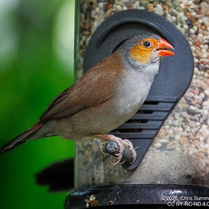 2026-016-029 KWPC Cockrell Butterfly Center trip-2.jpg