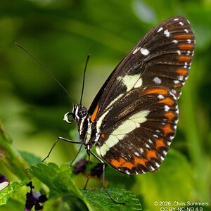 2026-016-107 KWPC Cockrell Butterfly Center trip.jpg