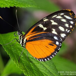 2026-016-113 KWPC Cockrell Butterfly Center trip.jpg