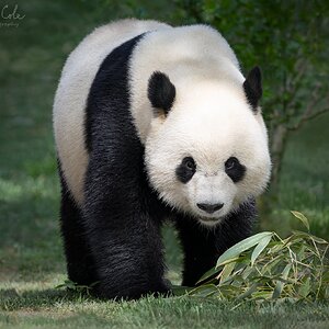 Visualizing the PathvinSMsig.jpg