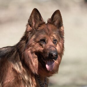 Coco-pose-fix 2.jpg.jpg