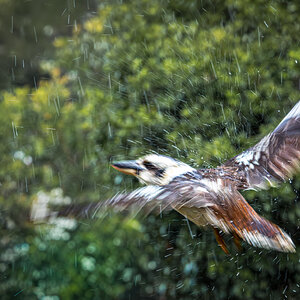 Severe Weather Flying.jpg