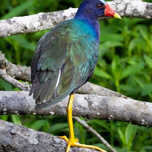 2026-021-093 KWPC Brazos Bend SP.jpg