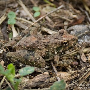2026-021-118 KWPC Brazos Bend SP.jpg