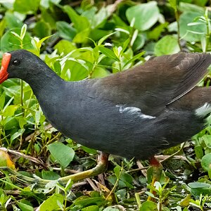 2026-021-119 KWPC Brazos Bend SP.jpg