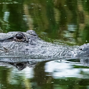 2026-021-125 KWPC Brazos Bend SP.jpg