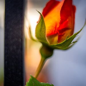 4P9A9825.jpg
