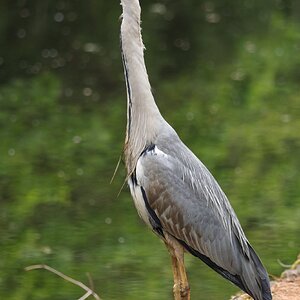 IMG_3517.JPG