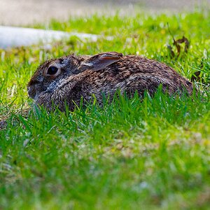 IMG_1551_1_DxO.jpg