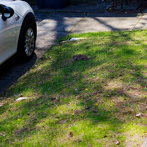 IMG_1550_DxO.jpg