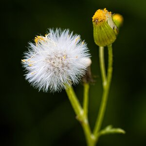 DV8A8679.jpg