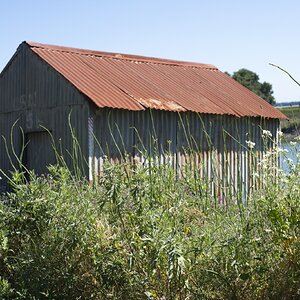 f8_MinoltaMD45_Shack.jpeg