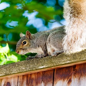IMG_1575_DxO.jpg