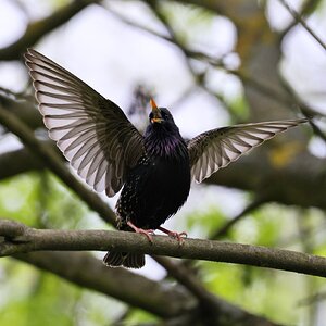 IMG_9808.JPG