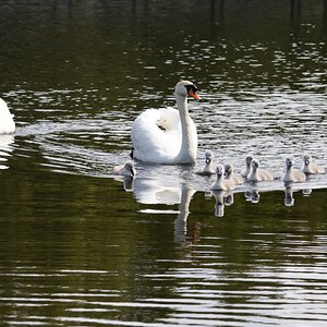 IMG_4012.JPG
