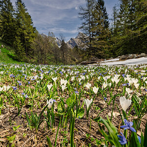 FB_MG_2700-Edit-post.jpg