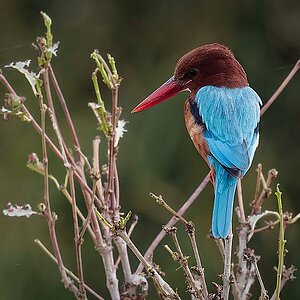 _C9A6614_DxO_2.jpg