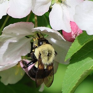 a6DW0279.jpg