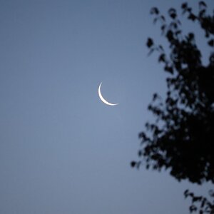 IMG_0360.jpeg