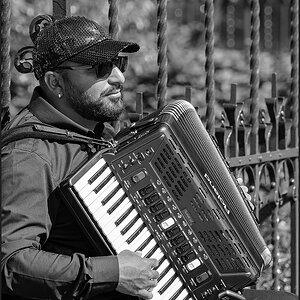 3668_Accordion.jpg