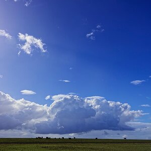 _H1_97671.2.jpg