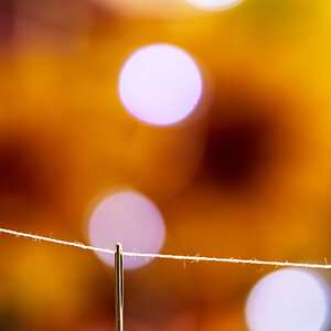 4P9A8596.jpg