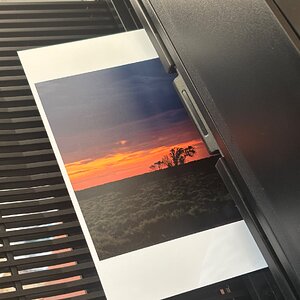 IMG_1830.jpeg