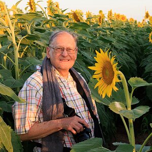 2026-028-133 KWPC sunflowers.jpg