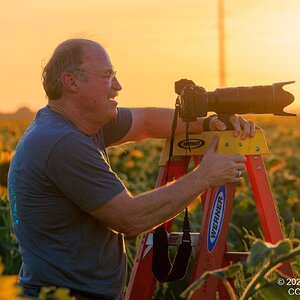 2026-028-161 KWPC sunflowers.jpg