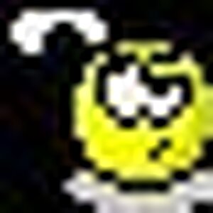 Scratch Head copy.jpg