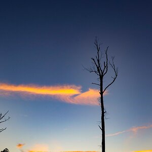 IMG_5889.jpeg