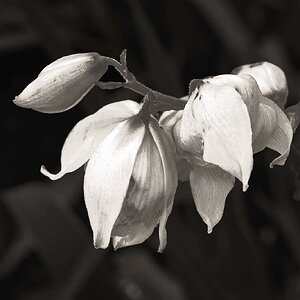 105A6910.jpg