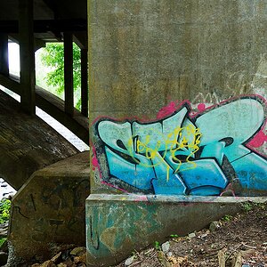 618A1446_DxO.jpg
