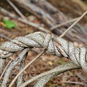618A1443_DxO.jpg