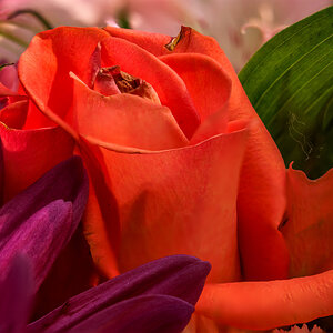 Bouquet.jpg