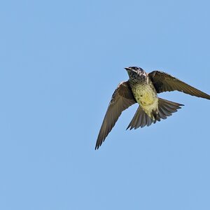 _73A0963.jpg