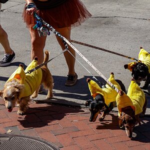 IMG_4755.jpeg