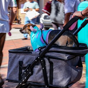 IMG_4741.jpeg