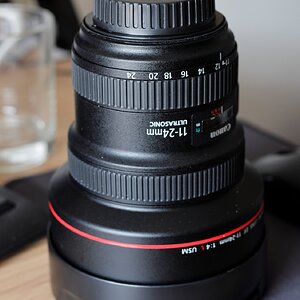 new toy.JPG