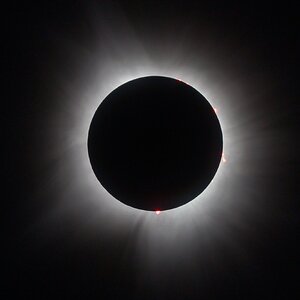 866A6945-1.jpg
