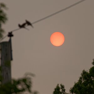Red moon hazy sky