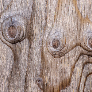 Total Recall-in wood.jpg