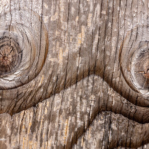 Naughty Wood.jpg