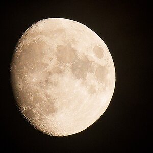 IMG_1704_2_DxO.jpg
