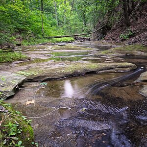 Lazy Summer Creek