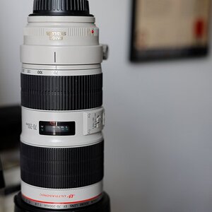 new toy 2.JPG