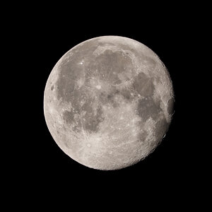 4P9A7166.jpg