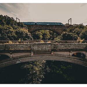 IMG_1236.jpeg