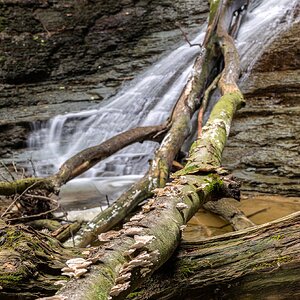 Buttermilk Falls-3